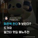 판다약국 | 차백도 내돈내산 솔직 후기ㅣ명동 홍대 판다 음료ㅣ밀크티 좋아하면 고고