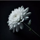 푸드 딜리버리 영등포점 | 🦠 바이러스 주의보 🦠