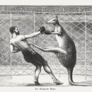 수학캐슬학원 이미지