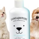 하얀강아지 이미지