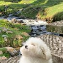 김밥집밥 이미지