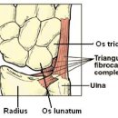상은섬유 이미지
