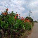 상모리-12 이미지