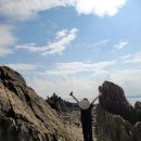 돌고래오토캠핑장2 이미지