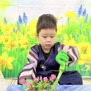 [세시풍속] 한식 이미지