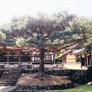 예림서원 이미지