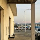 낭만접시 이미지