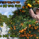 농업회사법인 (주)태반의땅 제주