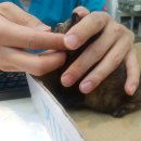 페토브 동물병원 이미지