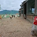 태학농장 이미지