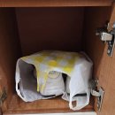 스타트핏 | 부평역PT 스타트핏 점쟁이만큼 용한 운동 후기