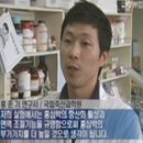 금산홍삼