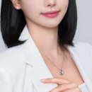 프리티니