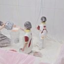 도토리 강아지 유치원 | 아이 미술학원 고민 중인 엄마라면, 3년 다닌 레드펭귄 서초 솔직 후기