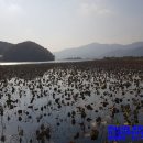 뉴한남지구공인중개사사무소 이미지