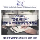 비채 행정사사무소 이미지