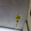 봉황가정의학과의원 네이버블로그