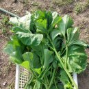 소흘농협경제사업소 이미지