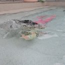 제주스테이 휘움 이미지