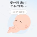 아유메디 | [임신 31주 0일] 임신후기 정기검진 결과 아기 저체중 작음 (31주 1.4kg) 단백질 섭취 필요