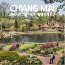 코지인스테이 | 치앙마이 자유여행 도이 인타논 국립공원 투어로 태국 다녀옴