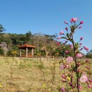 이순신순국공원 이미지