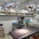 화정동물병원 이미지