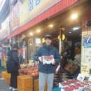 싱싱과일나라 네이버블로그