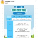 가치있개 반려견 유치원 | [반려견]성남 가치있개 유치원(분당애견유치원/이매역 애견호텔/성남애견카페)
