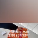 칠십리감귤한라봉농장