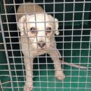 내서읍506 이미지