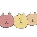 농부파스타 이미지