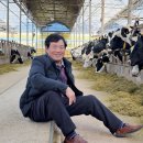 상하 금성목장 이미지