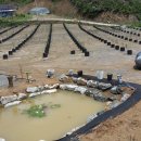 주니농장 이미지