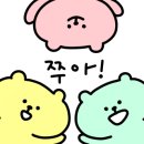 웜유니버스
