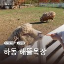 해성관광 | 하동 아기랑 가볼만한곳 해뜰목장 (+ 해성재첩식당)
