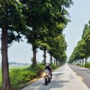 고두섬횟집 이미지