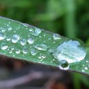 산속의 아침 이미지