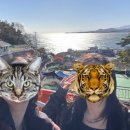 등대길 민박 이미지