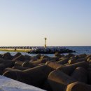 제주공상 이미지