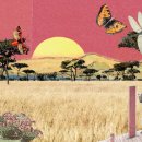 두평 태양광발전소 이미지