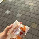 오늘도 아름답개 이미지