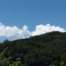 바램행정사무소 이미지