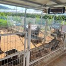 단짠아쿠아 삼천점 이미지