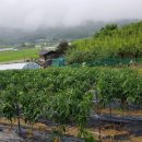 대바위농장 이미지