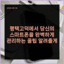 킹콩폰고덕 네이버블로그