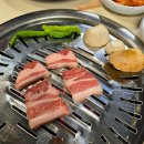 팔도숯불고기 | 삼스타숯불구이 | 정왕동 맛집 고기집 신상 고기 좋은 삼겹살 맛집 애견동반 식당 추천