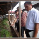 금산수삼센터 이미지