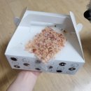 붕스프레소 네이버블로그