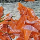 오향골송어 이미지